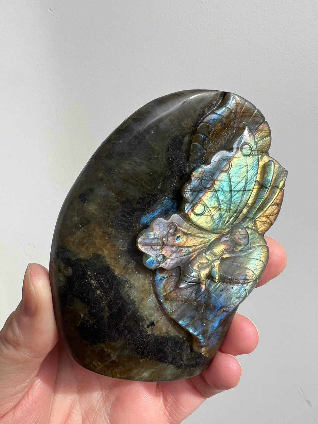 Labradorite Butterfly Carving 9