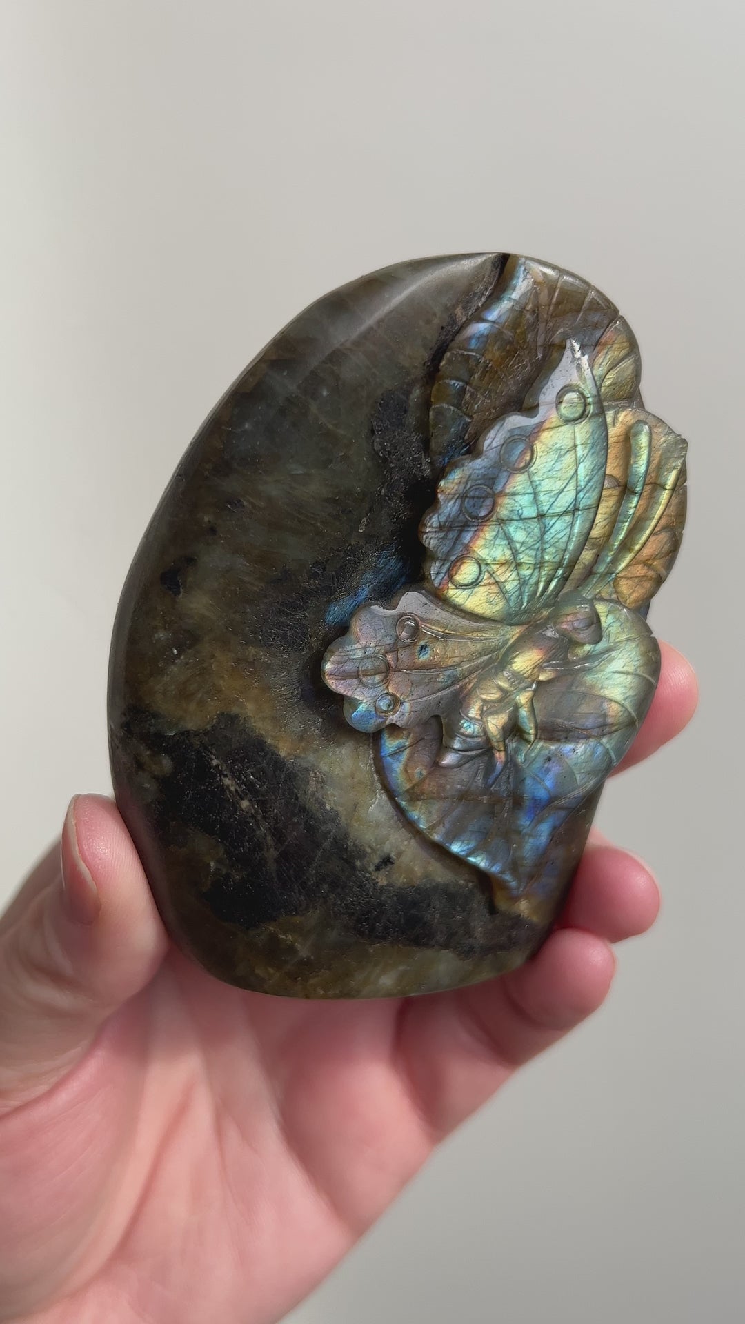 Labradorite Butterfly Carving 9