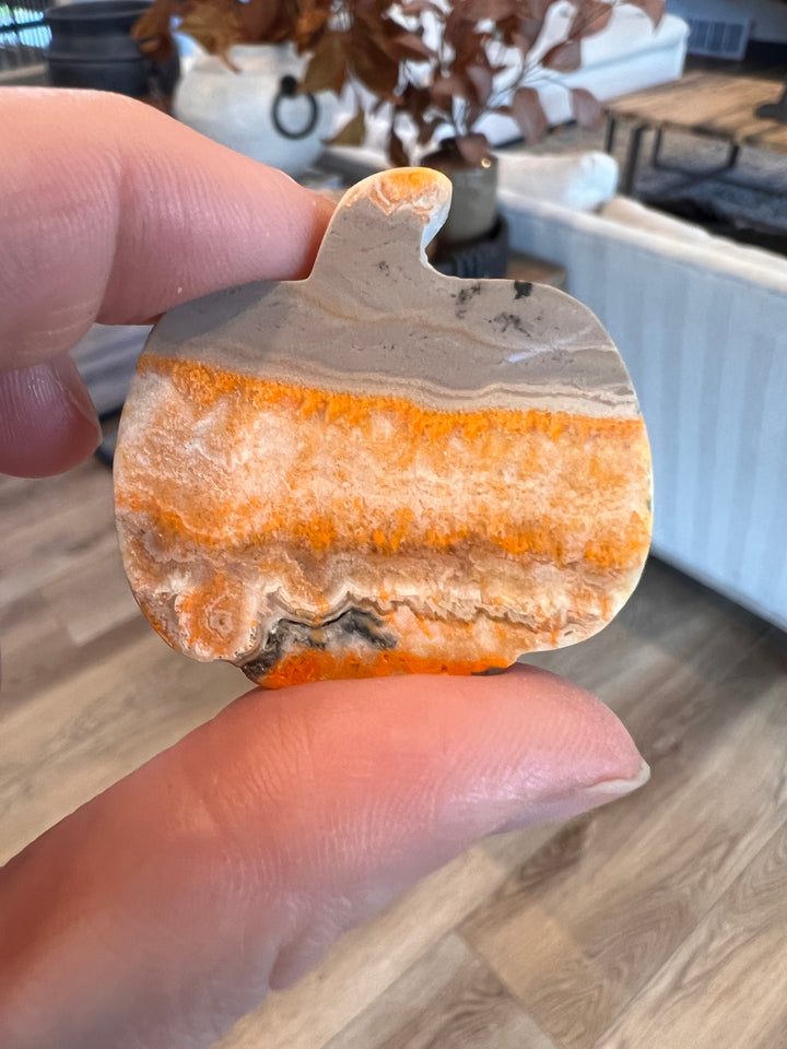 Bumblebee Jasper Pumpkin (13)