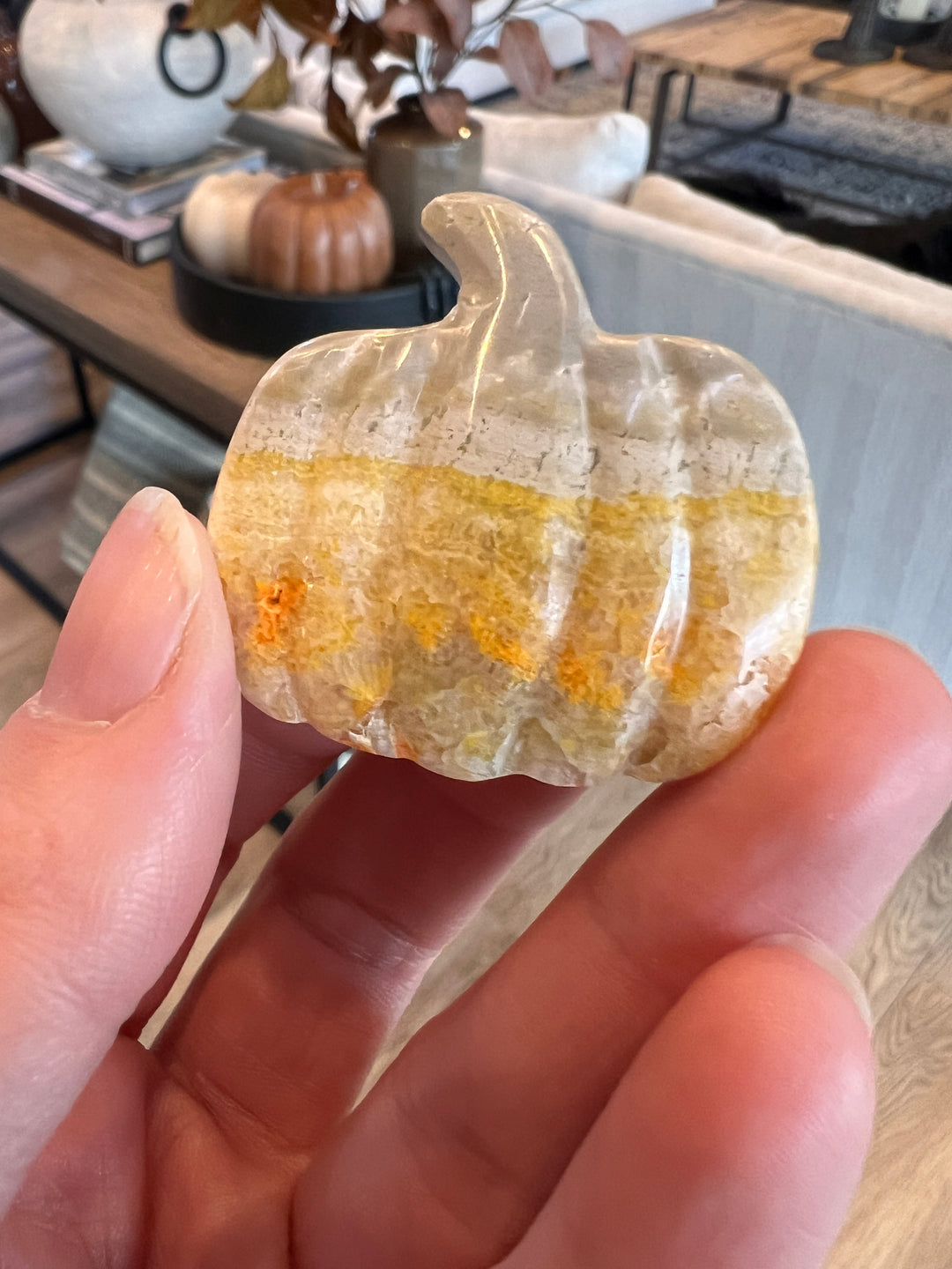 Bumblebee Jasper Pumpkin (16)