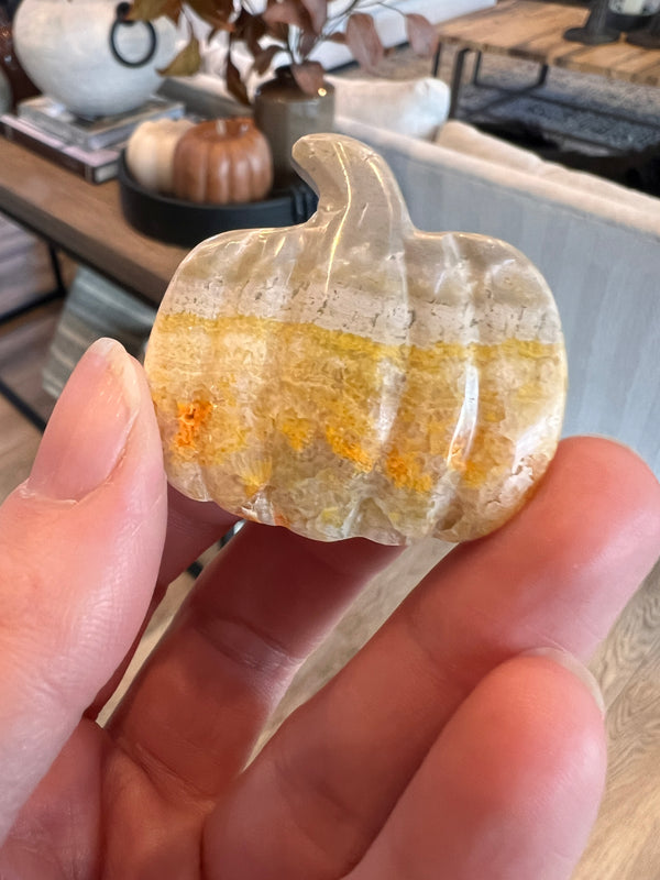 Bumblebee Jasper Pumpkin (16)
