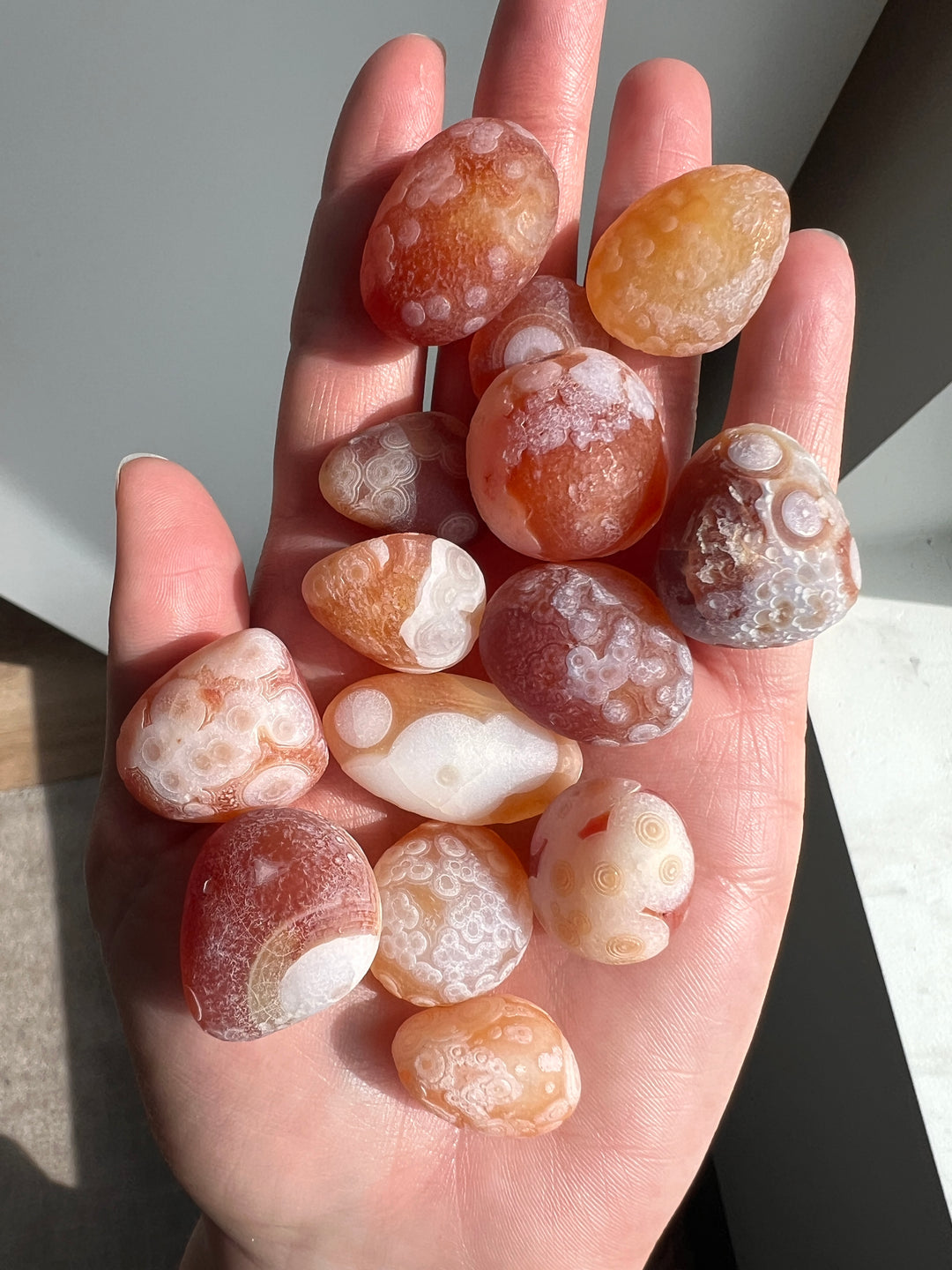 Wholesale Gobi Desert Agate Lot