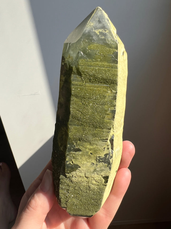 Epidote Coated Quartz | 461.7g