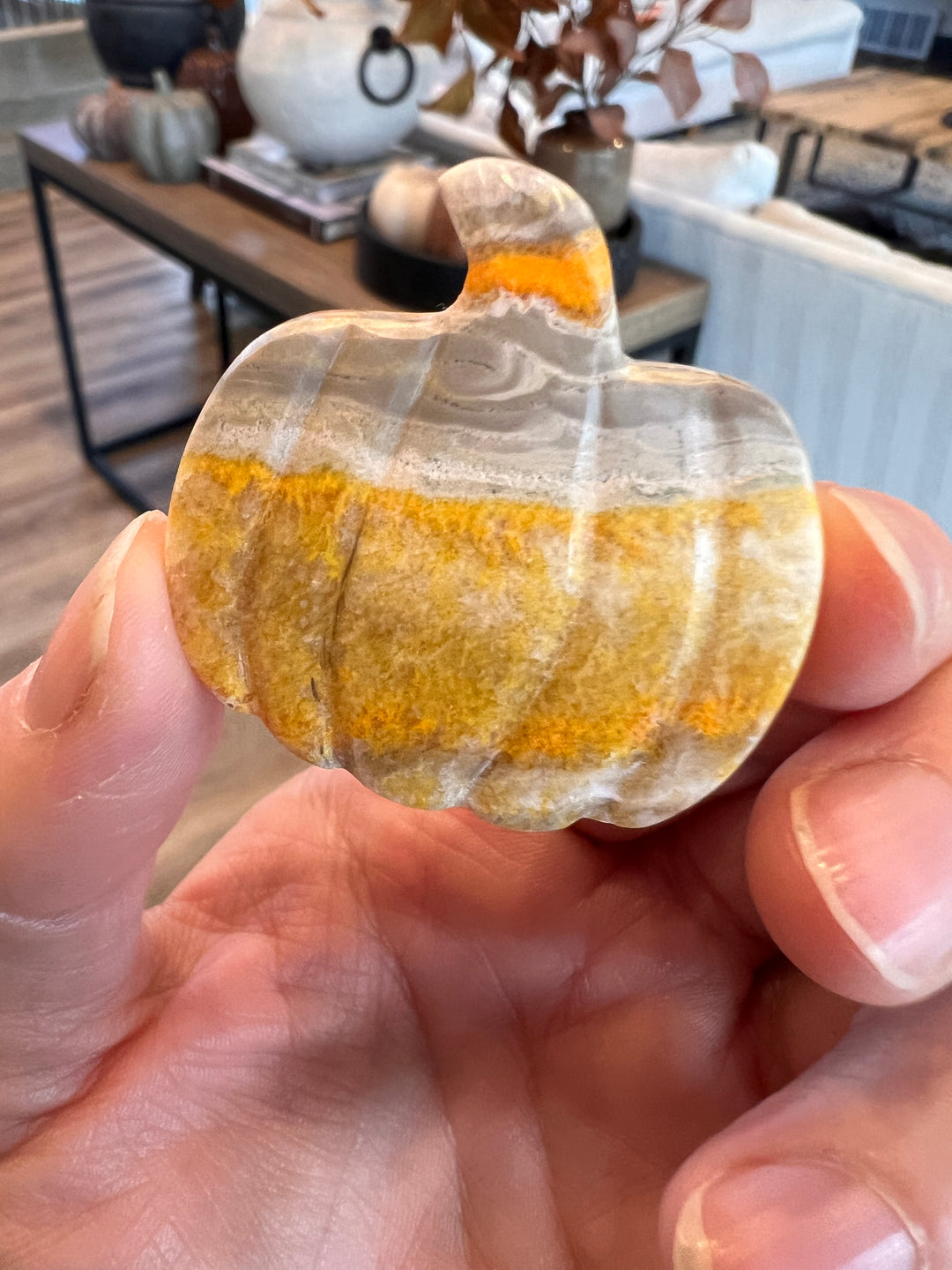 Bumblebee Jasper Pumpkin (9)