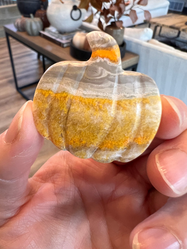 Bumblebee Jasper Pumpkin (9)