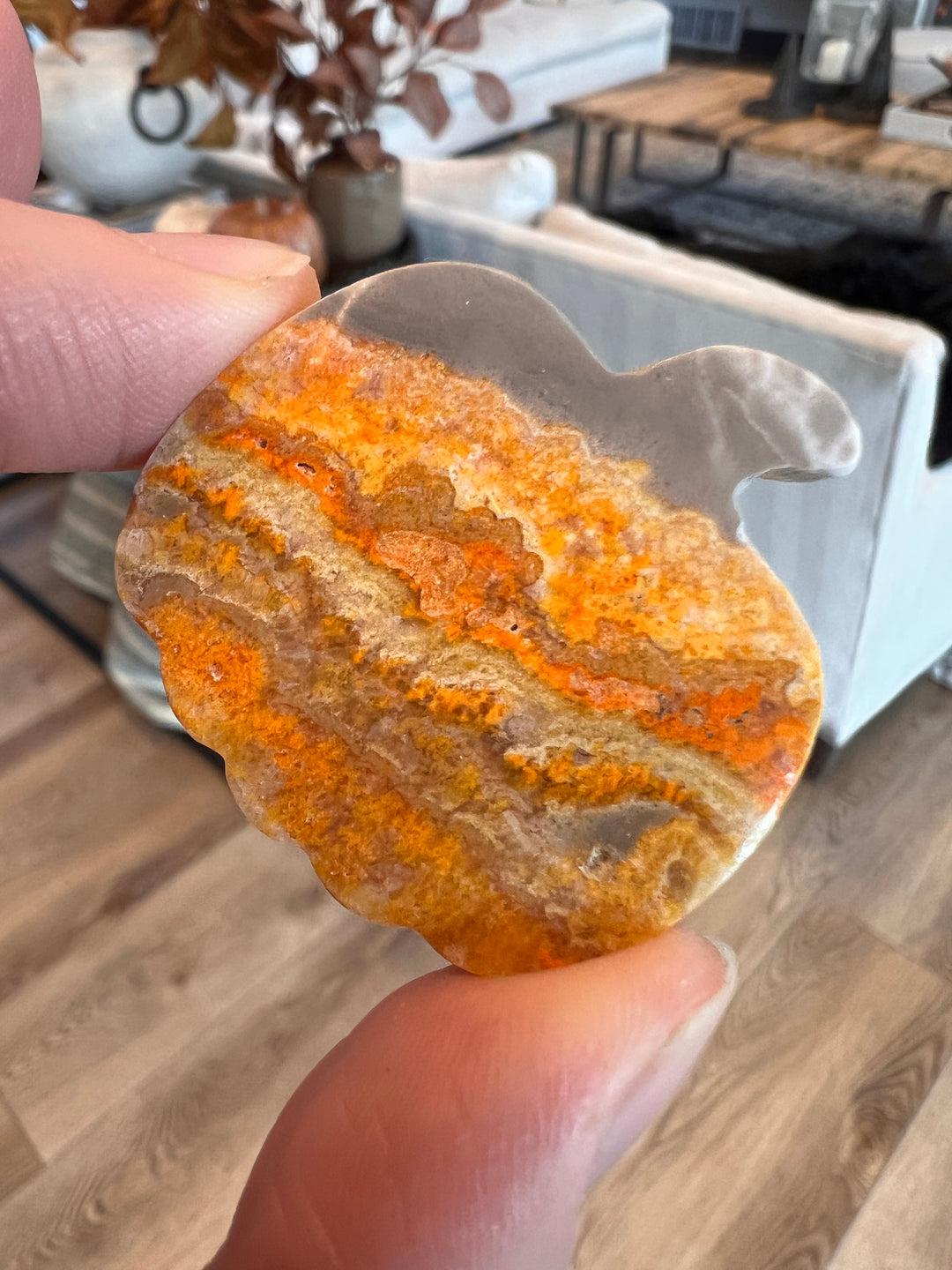 Bumblebee Jasper Pumpkin (27)