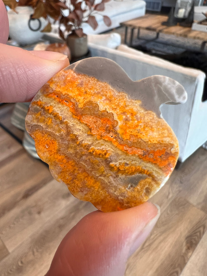 Bumblebee Jasper Pumpkin (27)