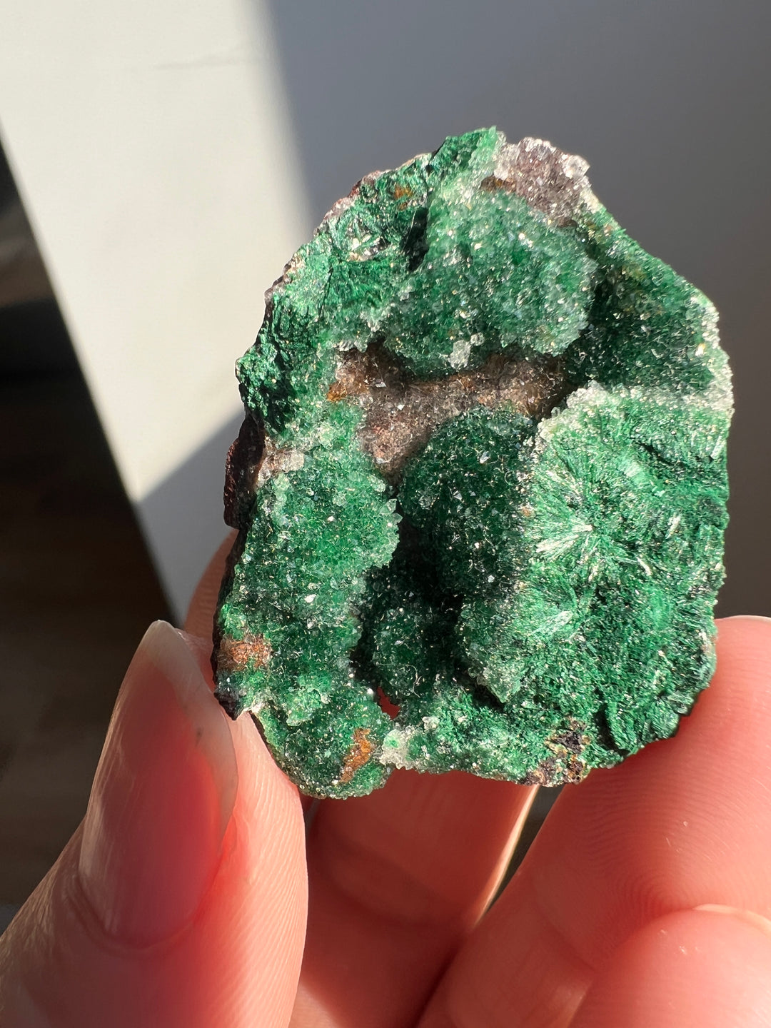 Sugar Malachite (5) | 14.5g
