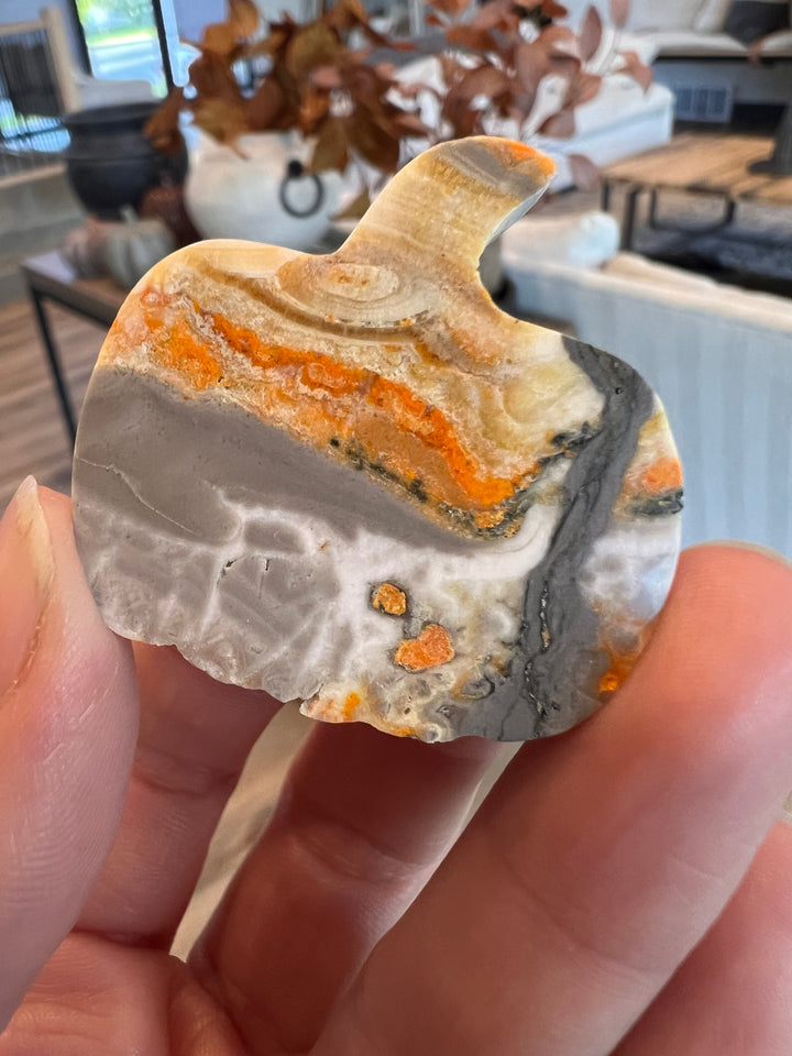Bumblebee Jasper Pumpkin (3)