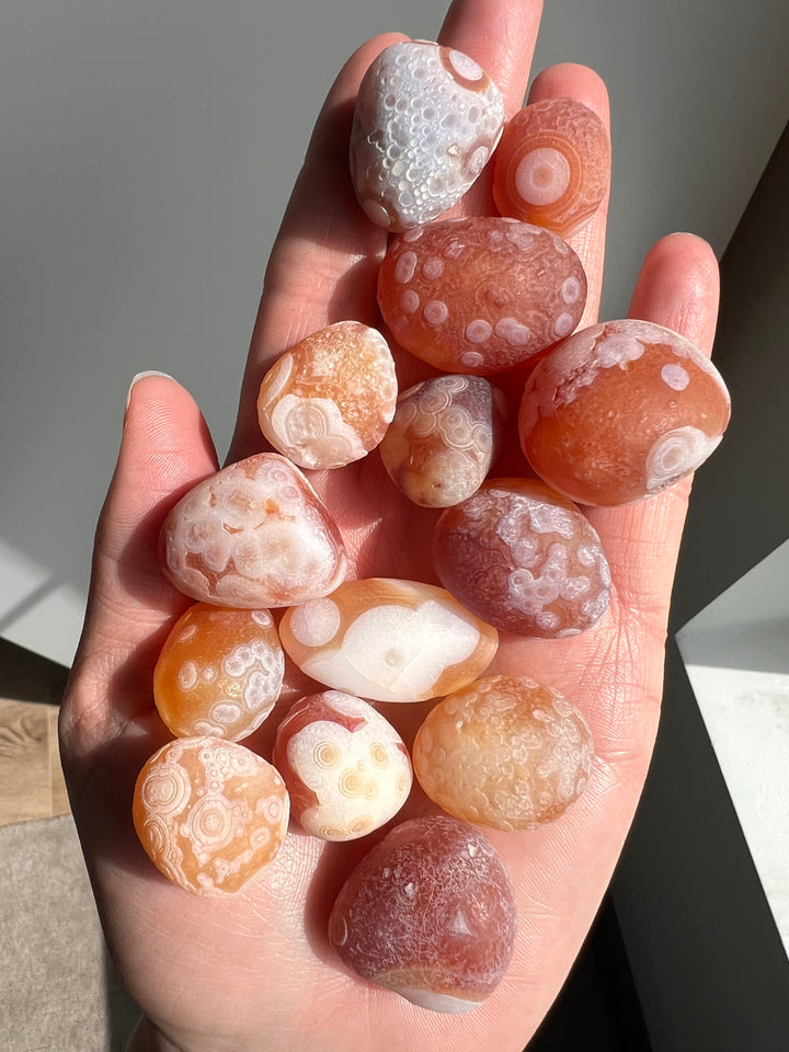 Wholesale Gobi Desert Agate Lot