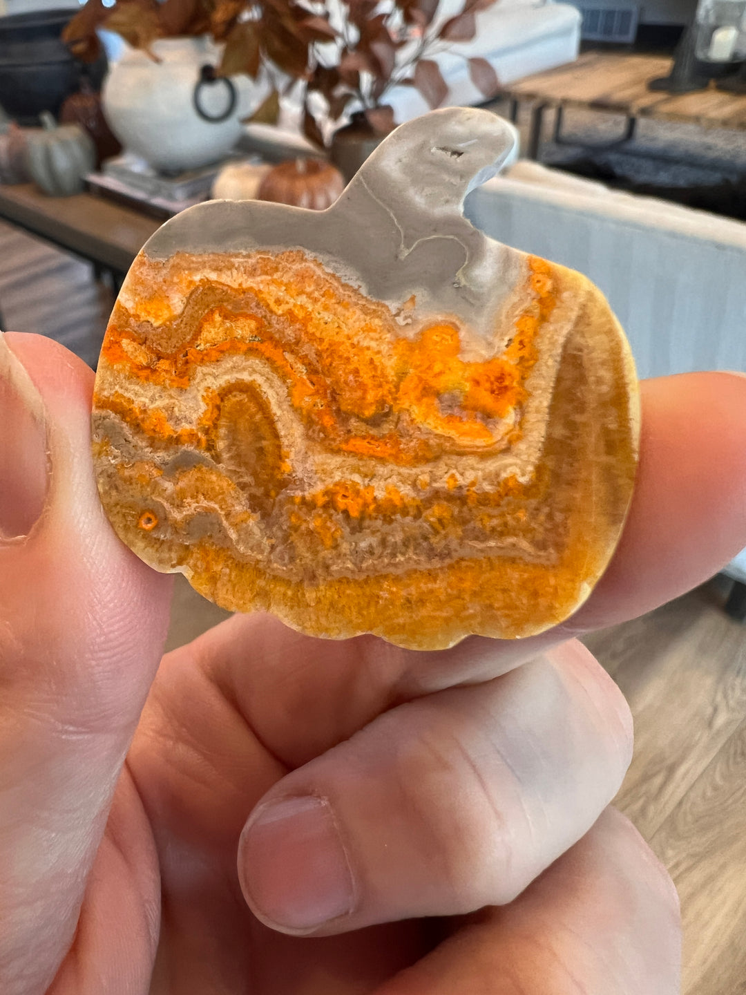Bumblebee Jasper Pumpkin (4)