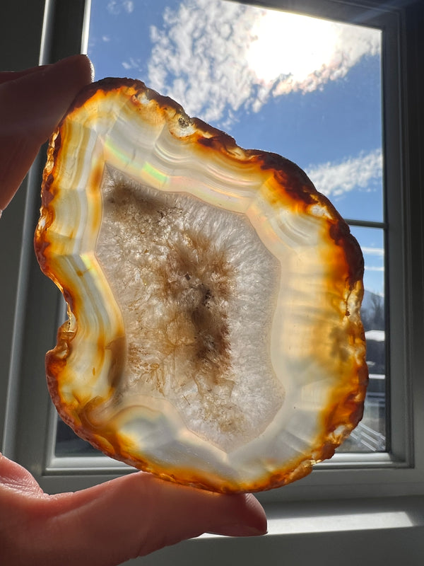 Iris Agate Slice (7) | 62.3g
