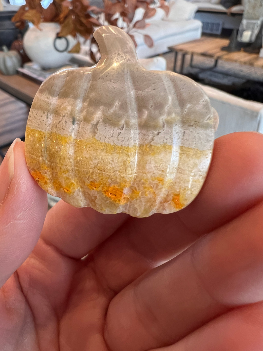 Bumblebee Jasper Pumpkin (23)