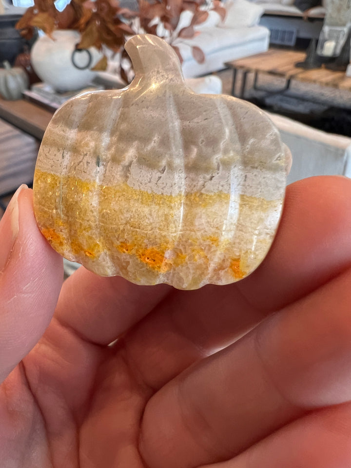 Bumblebee Jasper Pumpkin (23)