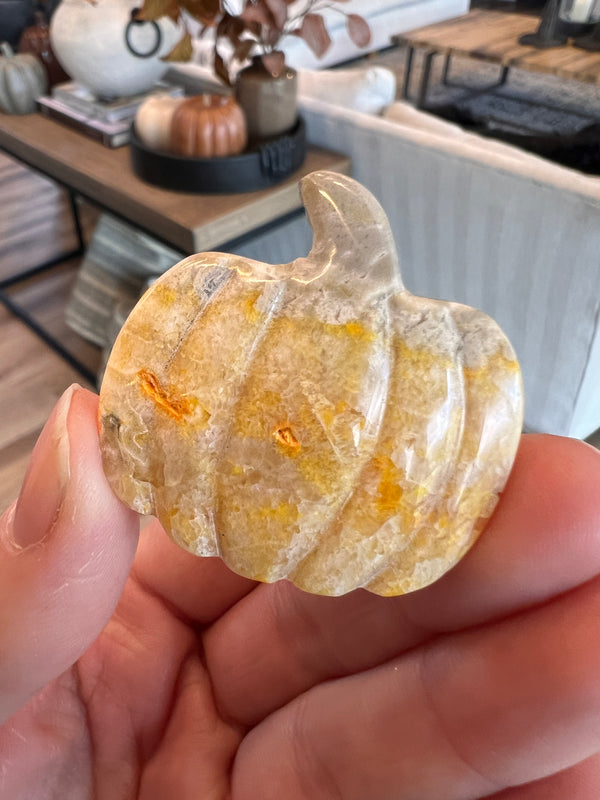 Bumblebee Jasper Pumpkin (26)