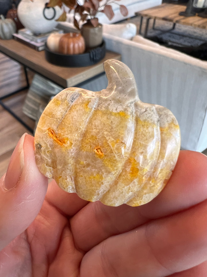 Bumblebee Jasper Pumpkin (26)
