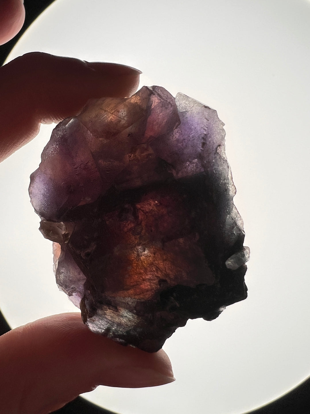 Fluorite with Rutile from Yaoganxian, China | 59.4g