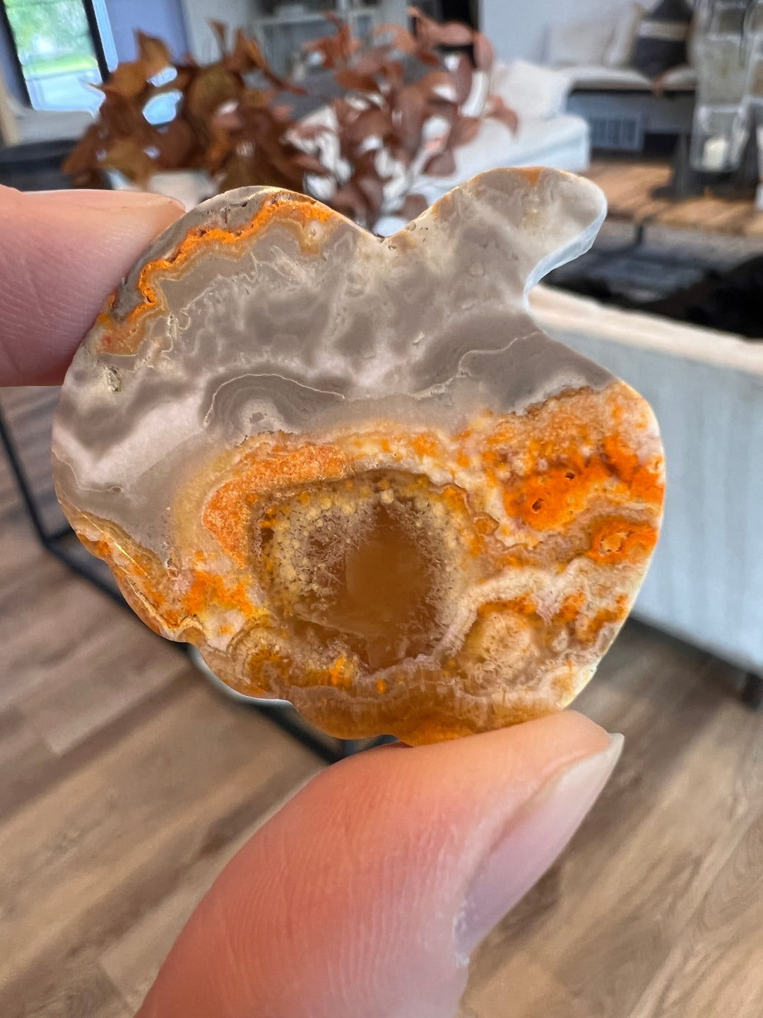 Bumblebee Jasper Pumpkin (18)