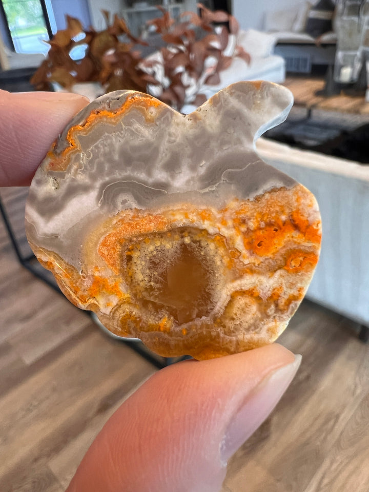 Bumblebee Jasper Pumpkin (18)