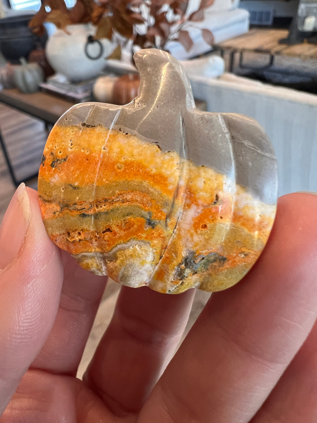 Bumblebee Jasper Pumpkin (7)