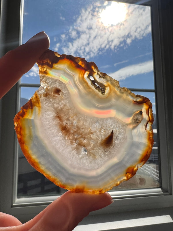 Iris Agate Slice (3) | 48.6g