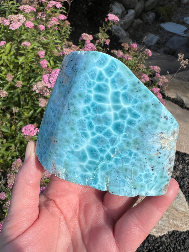 Larimar Freeform 26 | 476g