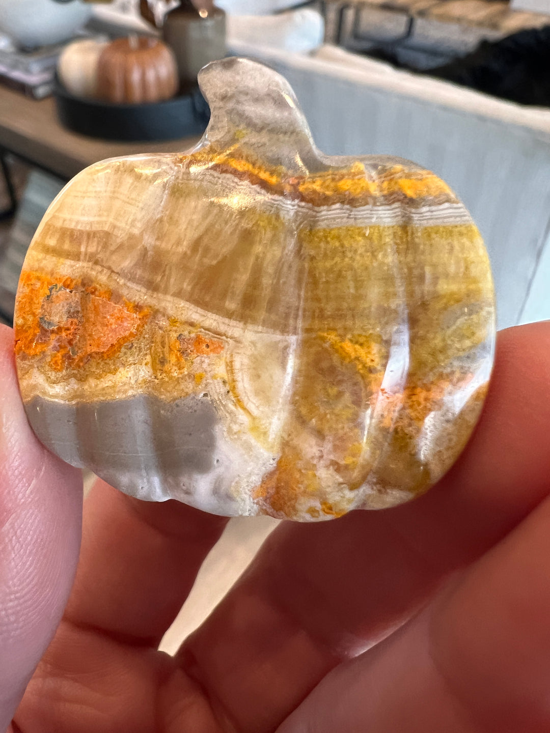 Bumblebee Jasper Pumpkin (34)