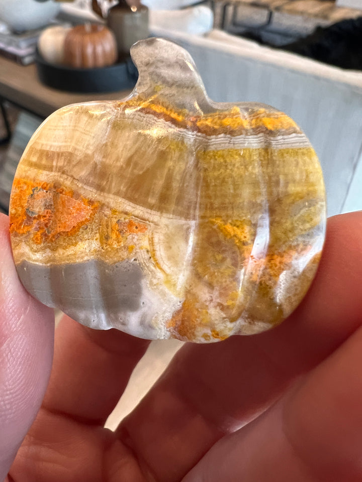 Bumblebee Jasper Pumpkin (34)