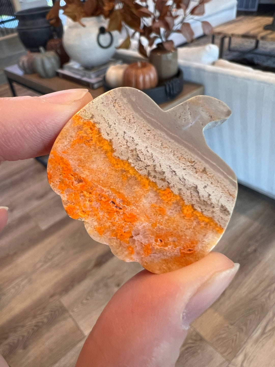 Bumblebee Jasper Pumpkin (5)