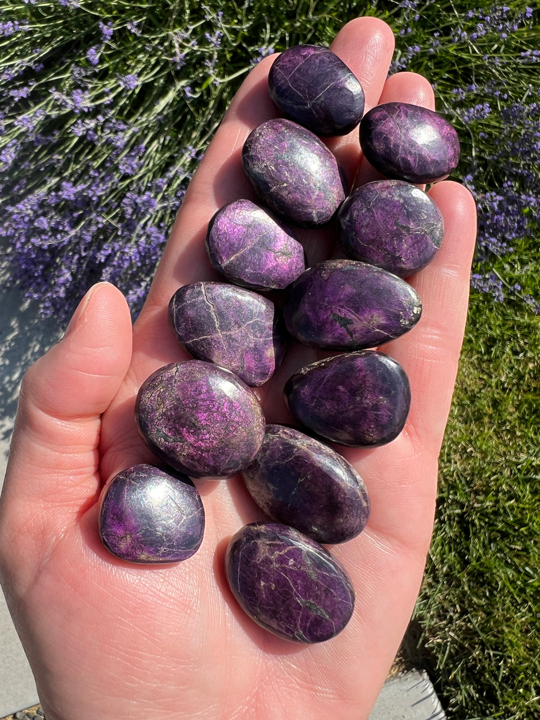 Purpurite Pocket Stone | Random Selection
