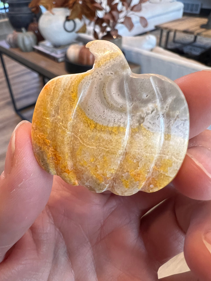 Bumblebee Jasper Pumpkin (19)