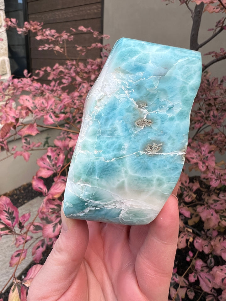 Larimar Freeform 13 | 409.9g
