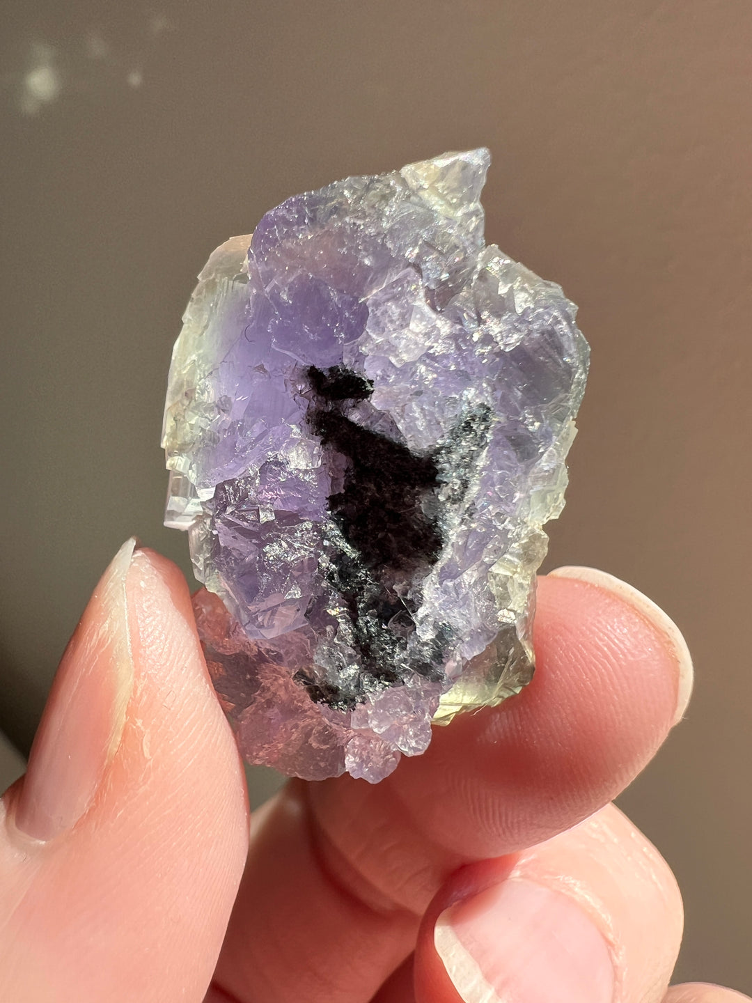 Fluorite (2) | 16.9g
