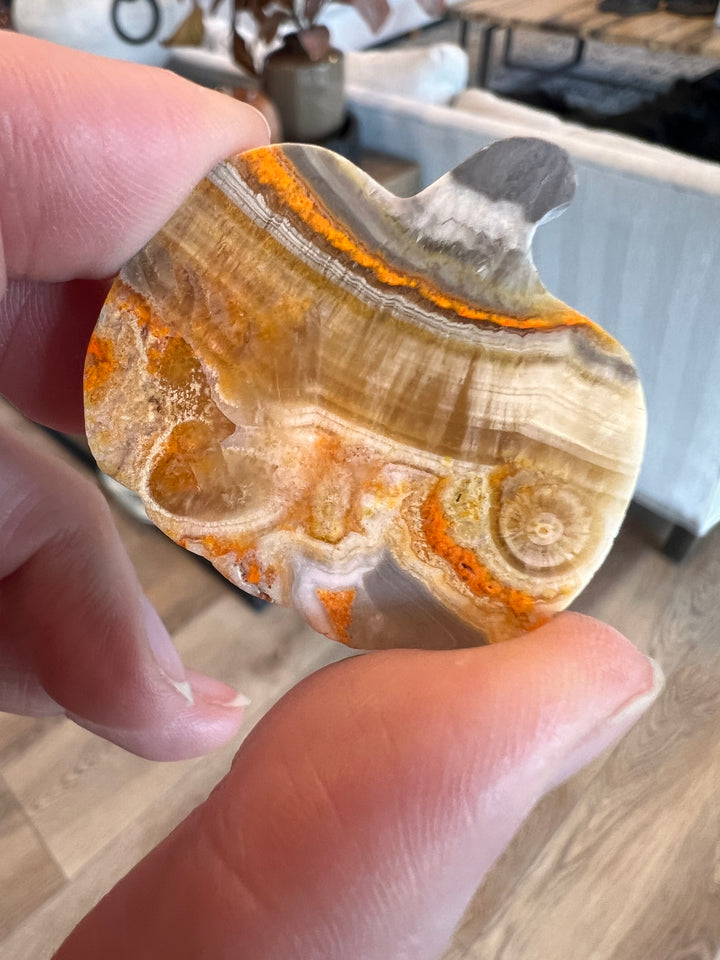 Bumblebee Jasper Pumpkin (34)