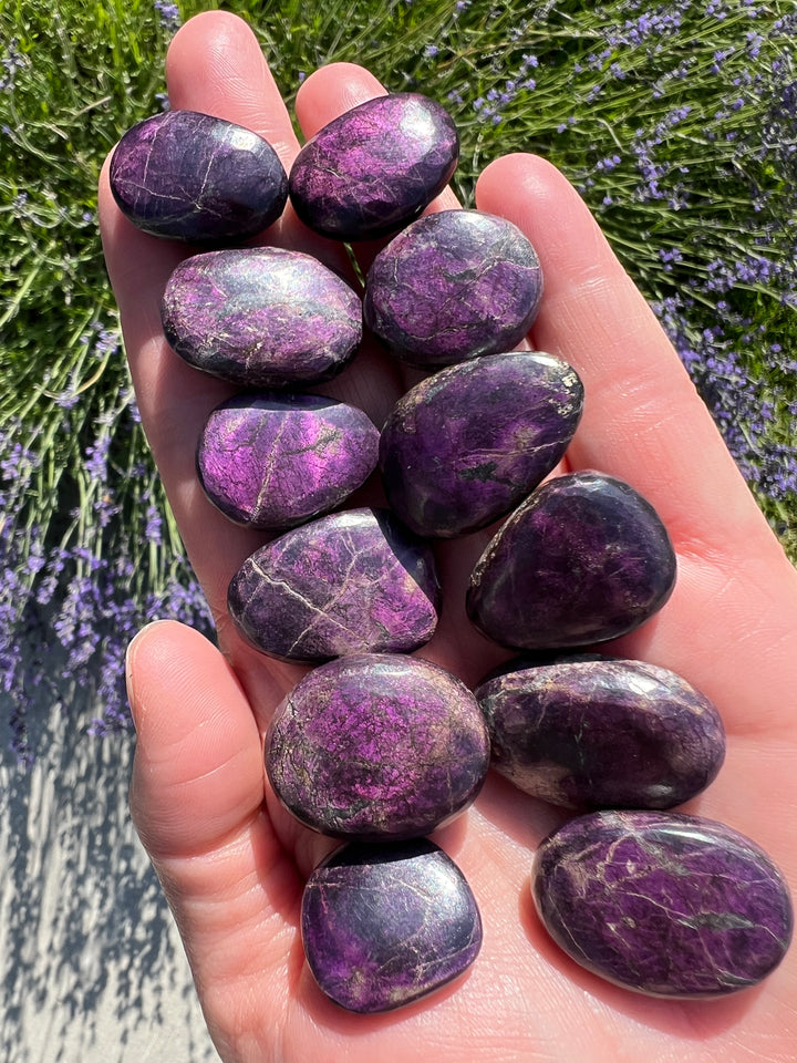 Purpurite Pocket Stone | Random Selection