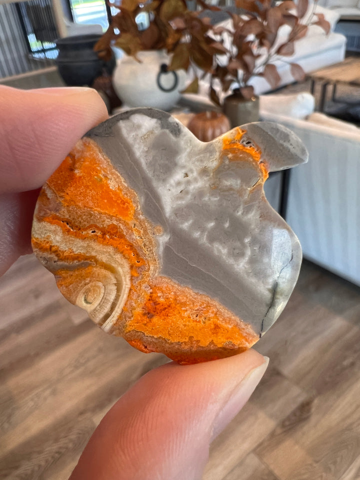 Bumblebee Jasper Pumpkin (6)