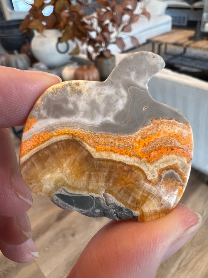 Bumblebee Jasper Pumpkin (29)