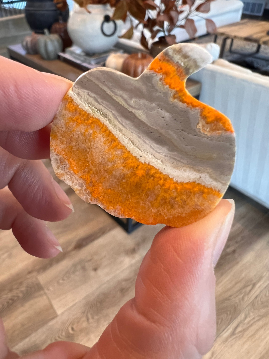 Bumblebee Jasper Pumpkin (9)