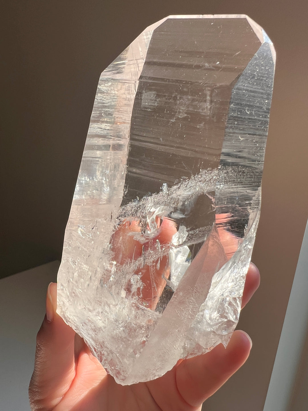 Colombian Lemurian (12) | 522g