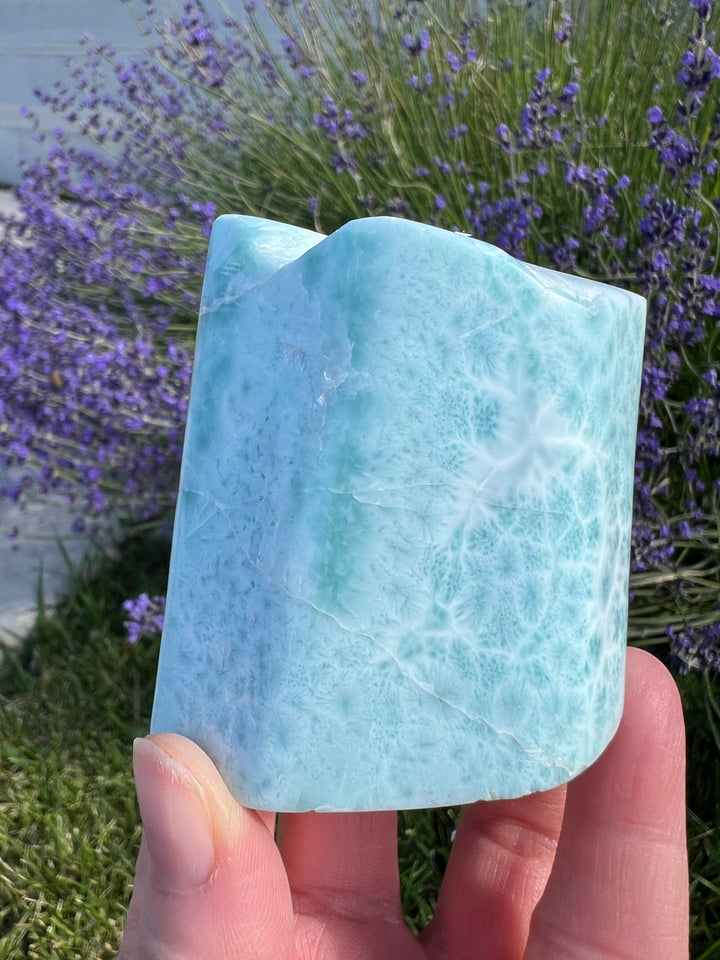 Larimar Freeform 12 | 314.5g