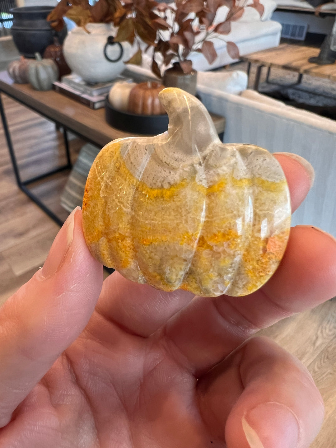 Bumblebee Jasper Pumpkin (14)