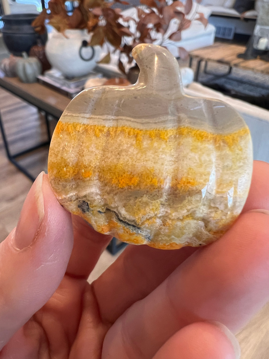 Bumblebee Jasper Pumpkin (13)