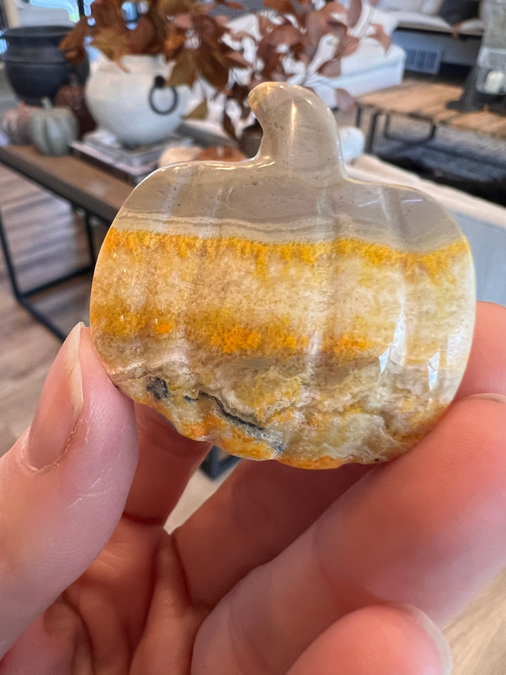 Bumblebee Jasper Pumpkin (13)