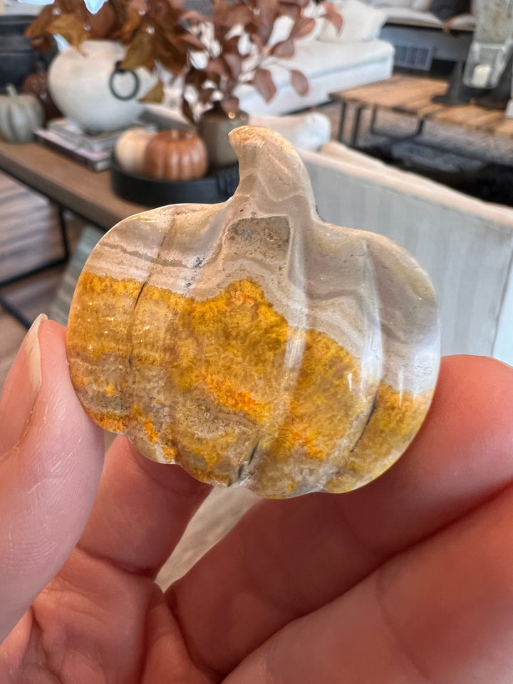 Bumblebee Jasper Pumpkin (25)
