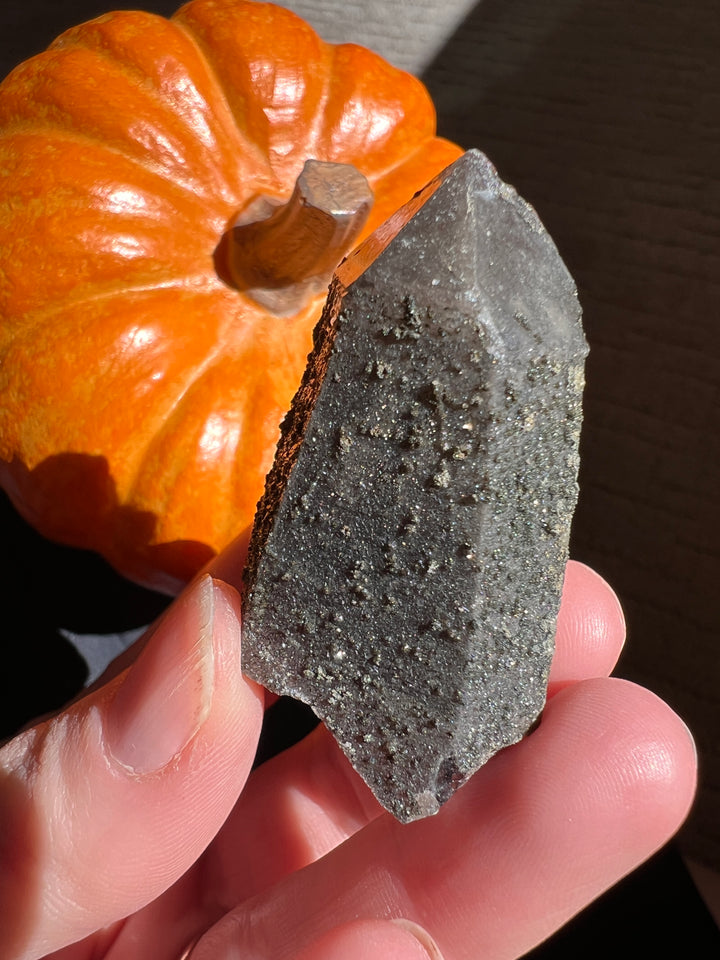 Lustrous Druzy coated Smoky Quartz (4) | 29g