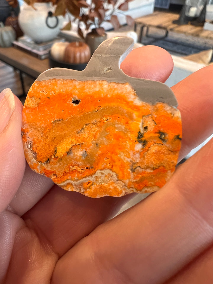 Bumblebee Jasper Pumpkin (1)