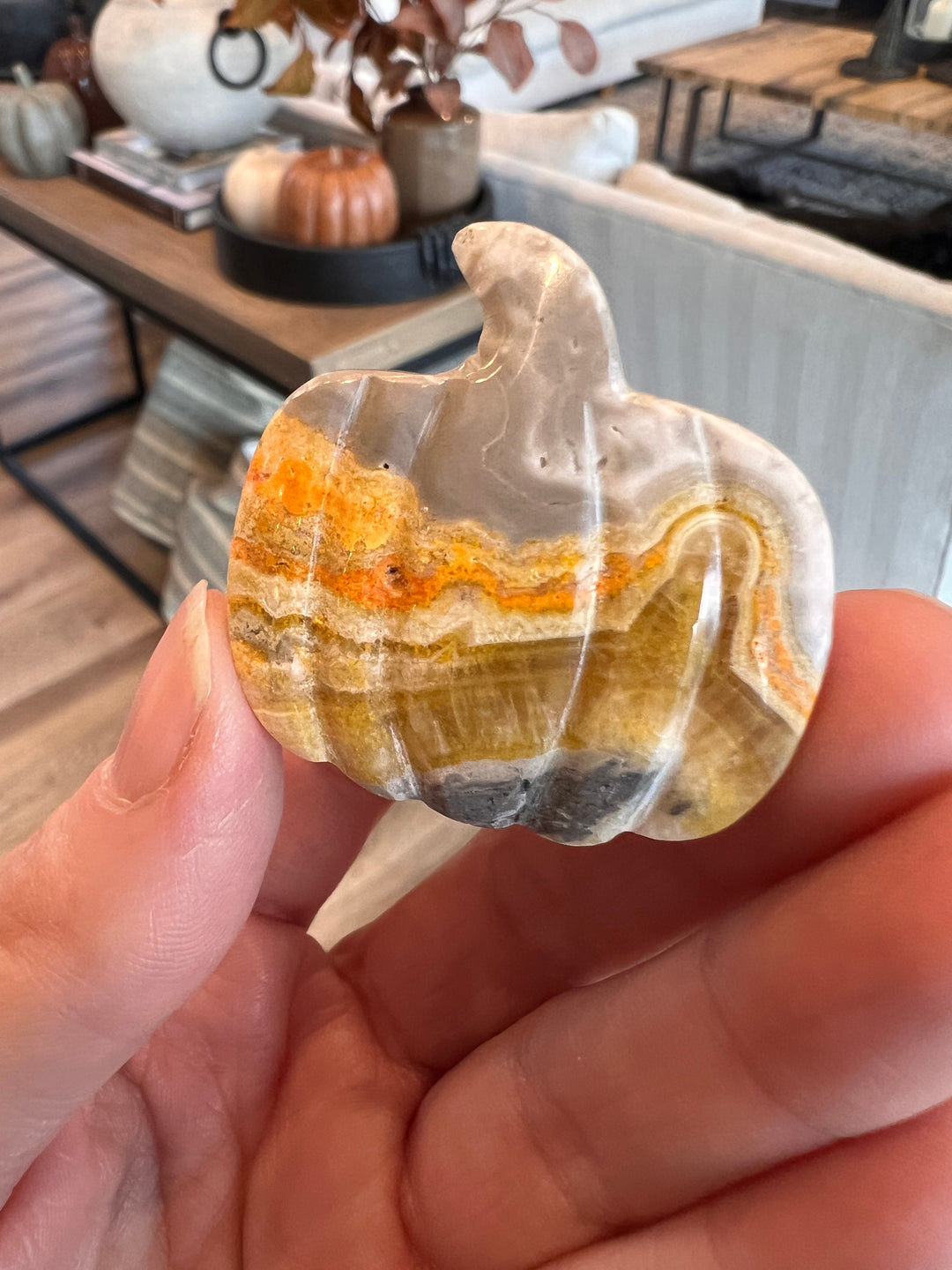 Bumblebee Jasper Pumpkin (29)