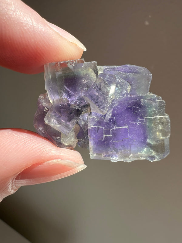 Fluorite (2) | 16.9g