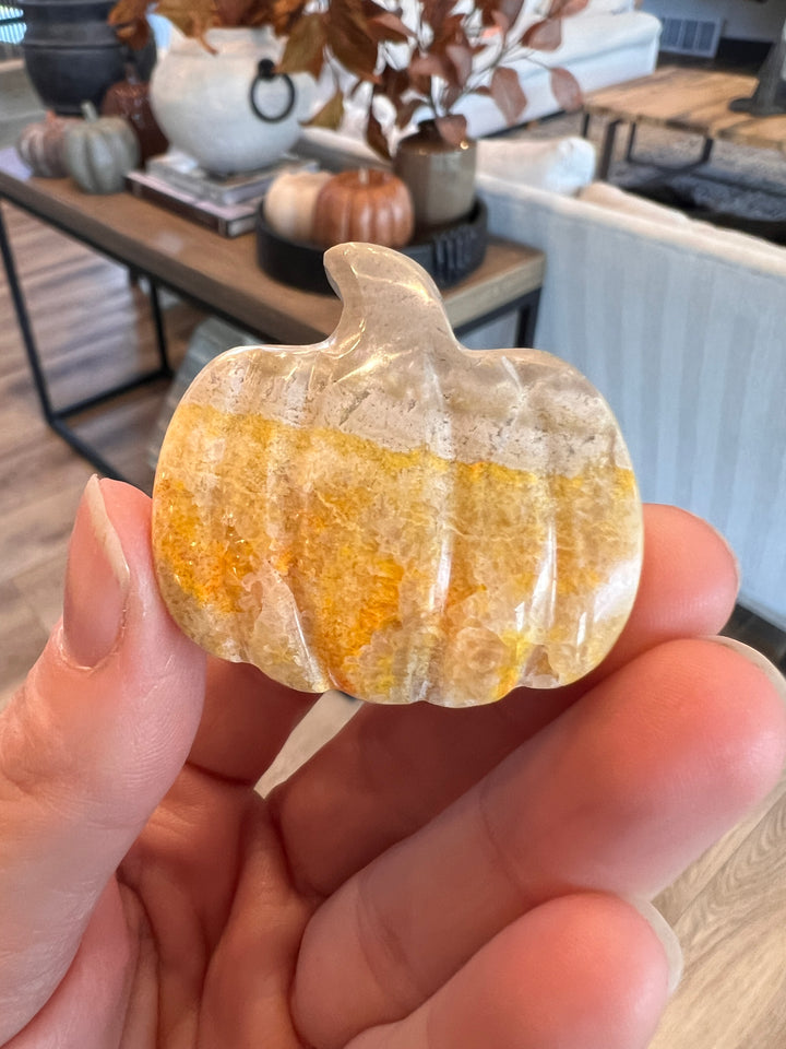 Bumblebee Jasper Pumpkin (12)