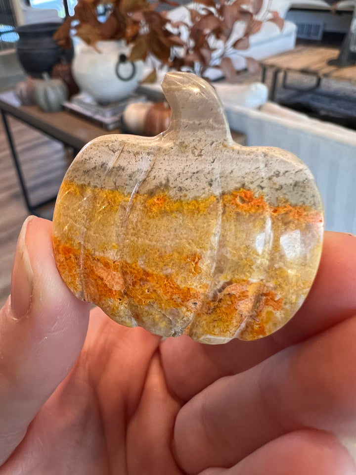 Bumblebee Jasper Pumpkin (5)